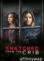Snatched from the Crib (2025) HQ Hindi Dubbed Movie